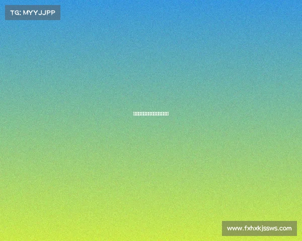 围棋赛事级别—全国围棋等级分